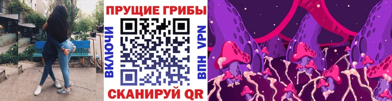 Псилоцибиновые грибы прущие грибы  Цимлянск 